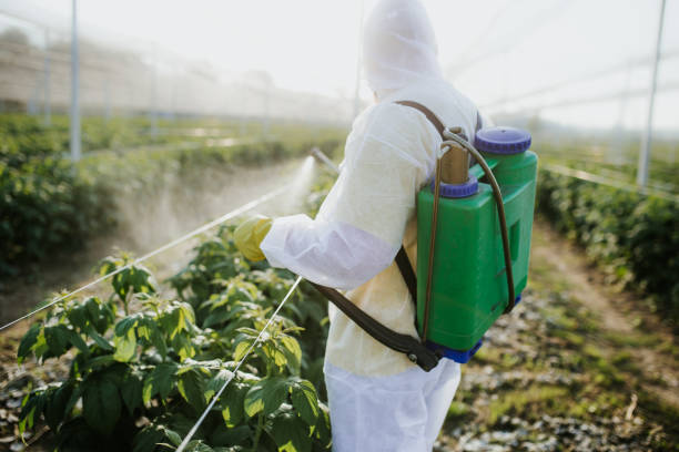 Reliable Columbia, KY Pest Control Solutions